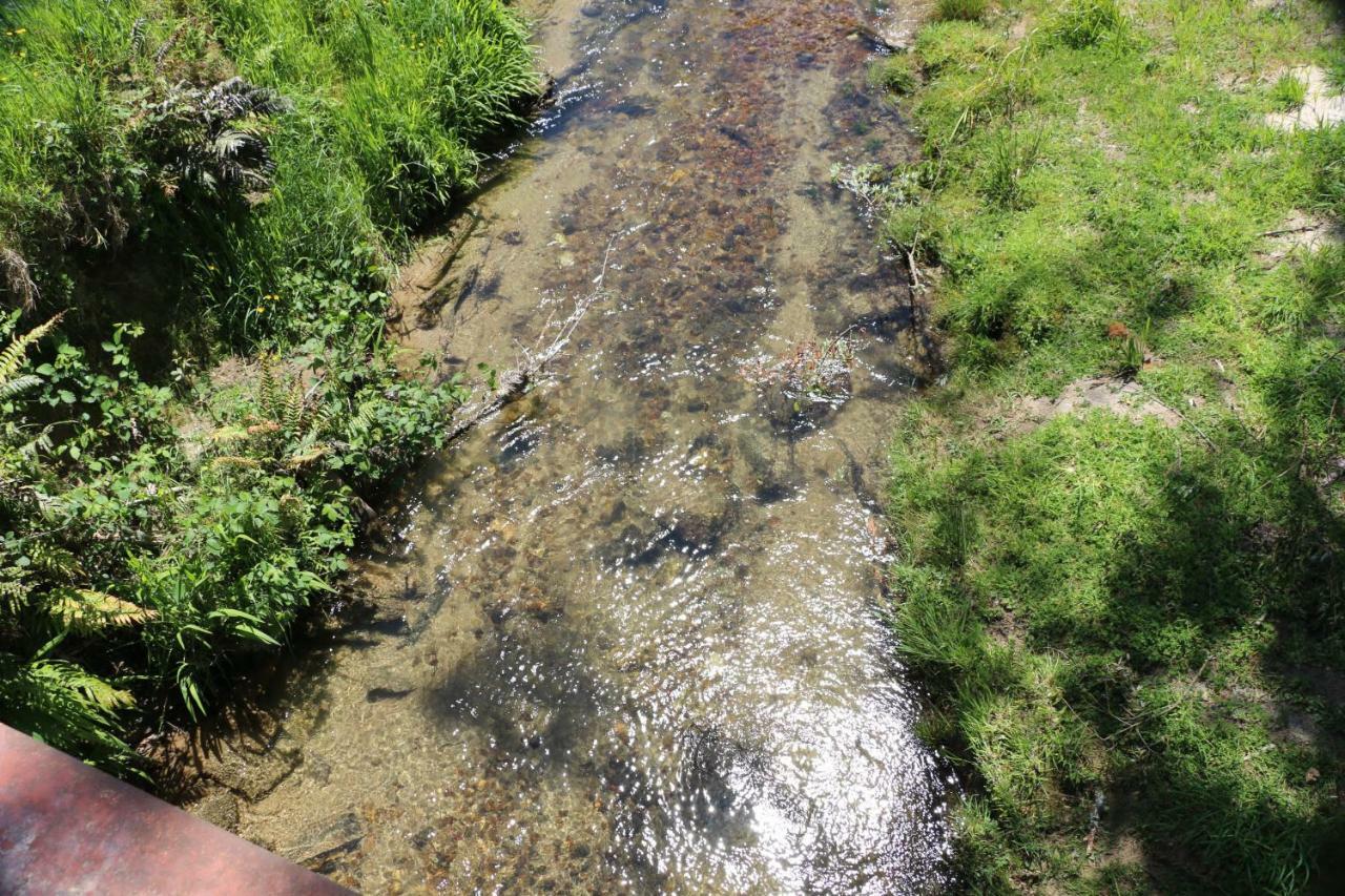 Unwind In Paradise Valley Trout At Your Door Rotorua Exteriér fotografie